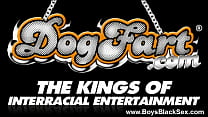 porn leone blacks thugs breaking down sissy white boys 17 porn