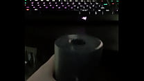 porn buskand bd porn