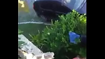 porn rape fuck his sweetheart in the public park porn
