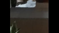 porn 母狗被操得直叫 porn