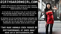 porn night two huge animals cock fucked by dirtygardengirl at once in he anal prolapse hole porn