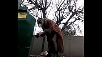 porn mia dragon dildo dumpster dumb dawniev ass to mouth porn